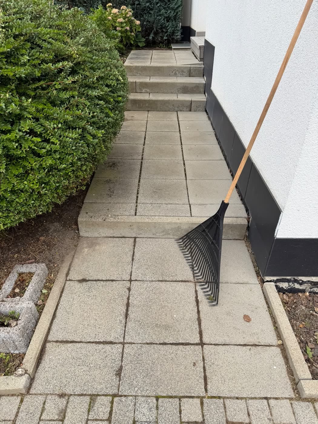 Gefegte Treppe zum Hauseingang nach dem Rückschnitt