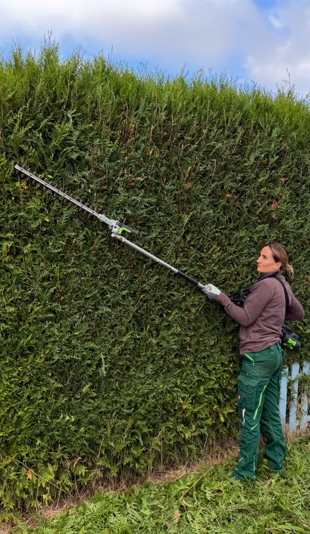Hecke in Form bringen