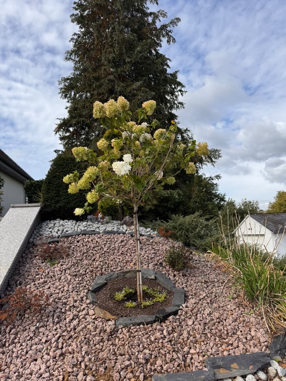 Beete neu gestaltet