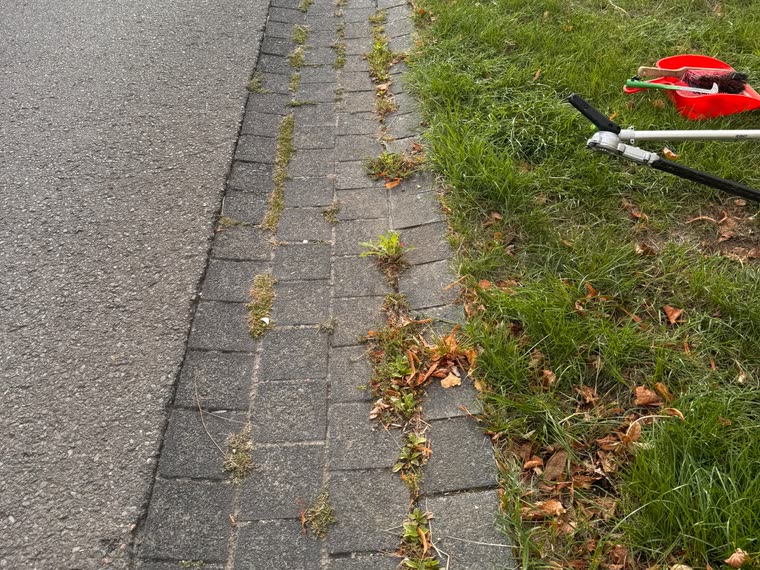 Saubere Wege am Randstein, vorher