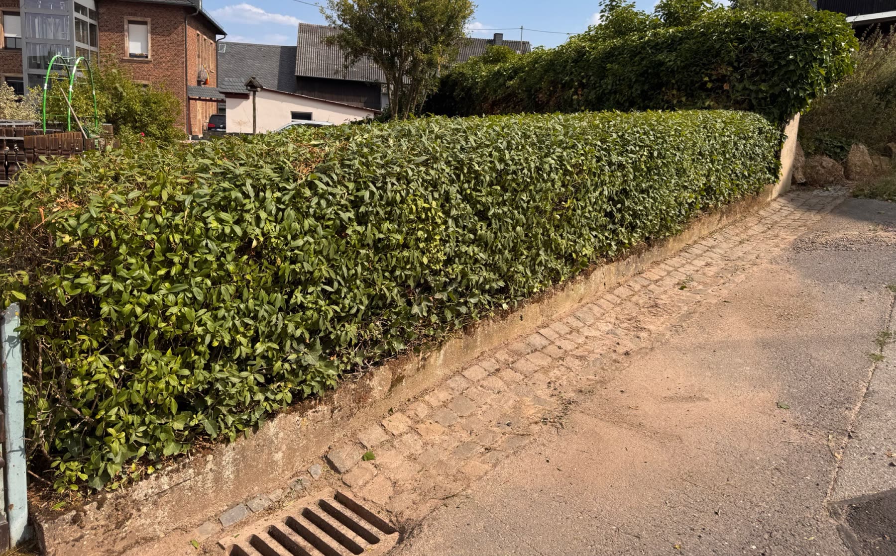 Hecke wieder in Form: nachher